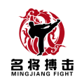 名将搏击